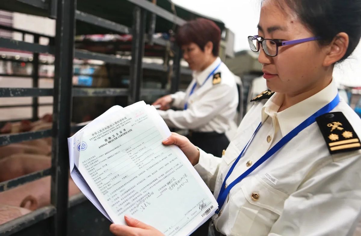 佛山陶瓷企业40HQ整柜双清海运出口荷兰鹿特丹