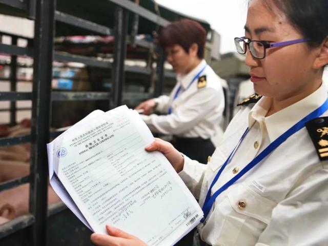 出口报关
